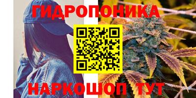Альфа ПВП Краснокаменск