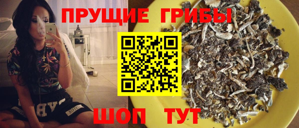 Псилоцибиновые грибы MAGIC MUSHROOMS  закладки  Ковров  Вход с VPN 