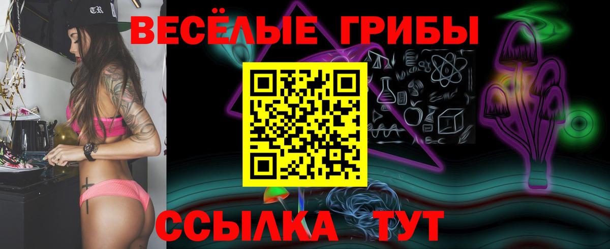 Галлюциногенные грибы Magic Shrooms Ковров